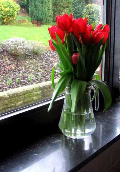 tulips ii.jpg